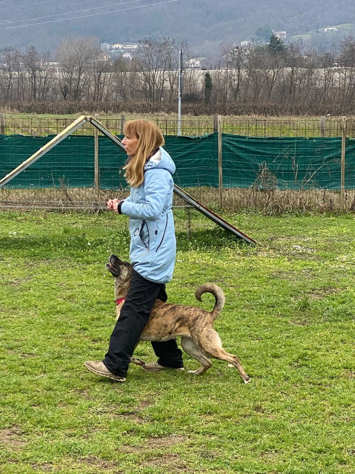Sport Cinofili